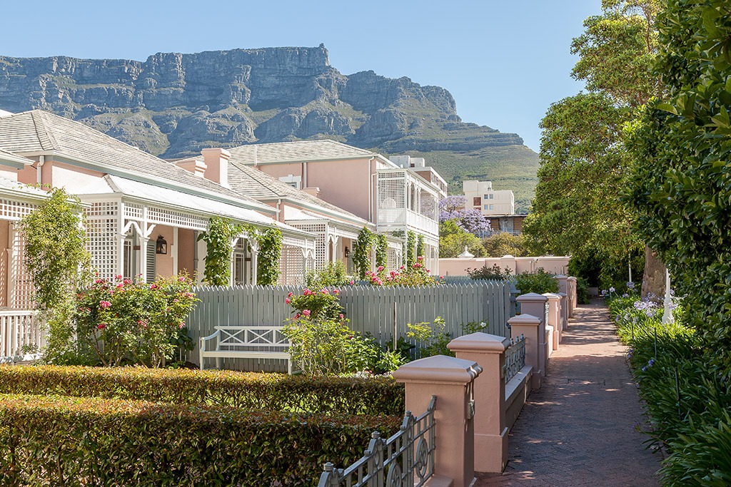 Künstlerisches Gartenporträt in Südafrika mit tropischer Flora und sanften Schatten