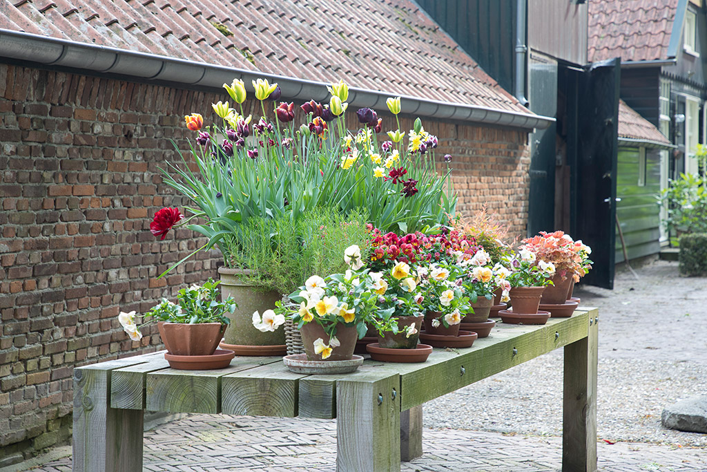 Reisereportage Gelderland und Köln: Stimmungsvoller Reiseblick über Fluss und Architektur