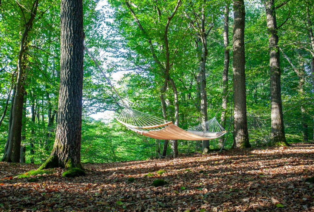 Der Wald mit einer Hängematte - Interior Shooting